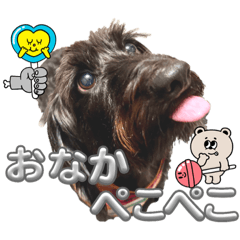 [LINEスタンプ] ミニチュアダックス♡カニンヘン犬の日40