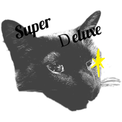 [LINEスタンプ] 愛猫 ジジ マル キム4