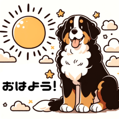 [LINEスタンプ] バーニーズと一緒に毎日を(jp)