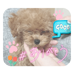 [LINEスタンプ] ミミちゃん日常編