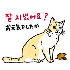 [LINEスタンプ] うちの猫と韓国語4