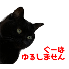 [LINEスタンプ] ぐーさまだけじゃない