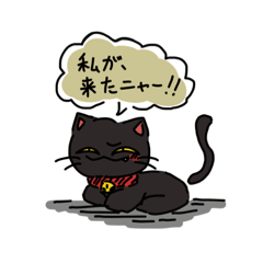 [LINEスタンプ] ネコのスタンプだニャ