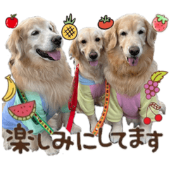[LINEスタンプ] レイ＆ルナ＆ぐースタンプ