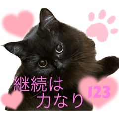 [LINEスタンプ] 黒猫 ルナ院長123にゃんめ