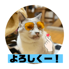 [LINEスタンプ] じいじと仲間たち