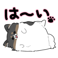 [LINEスタンプ] ポメラニアンの福丸すたんぷ！