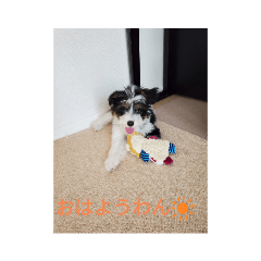 [LINEスタンプ] パピプまるーー
