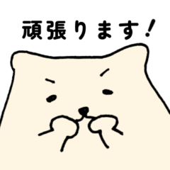 [LINEスタンプ] 白い犬2 敬語多め