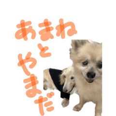 [LINEスタンプ] あまねとやまだ