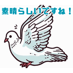 [LINEスタンプ] シンプルで可愛い鳩のイラスト