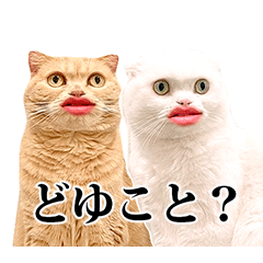 [LINEスタンプ] もろむくスタンプ7