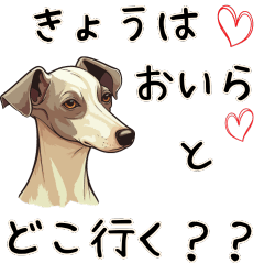 [LINEスタンプ] イタリアングレーハウンド【毎日使える】