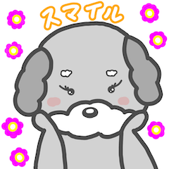 [LINEスタンプ] ポジティブシュナウザー