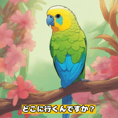 [LINEスタンプ] オカメインコの会話