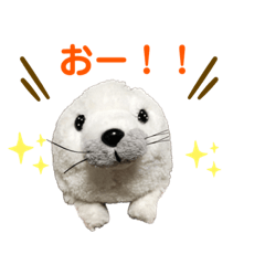 [LINEスタンプ] あざらしのおうちゃん 日常2