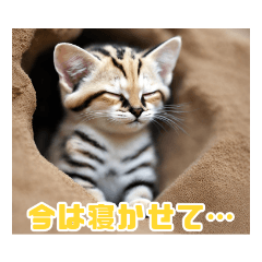 [LINEスタンプ] ねこスタンプはじめました