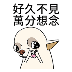 [LINEスタンプ] チワワは良い家族のペットです 30