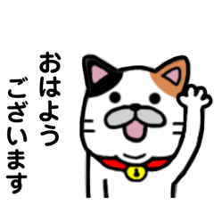 [LINEスタンプ] 三毛猫★日常使い★敬語