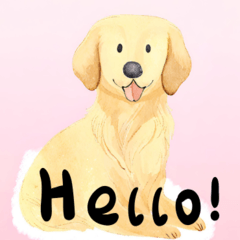 [LINEスタンプ] めがっさかわいい 犬のスタンプ