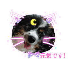 [LINEスタンプ] 今日も元気です！