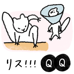 [LINEスタンプ] 面白い リス ♥ スタンプ