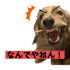 [LINEスタンプ] かわいいかわいいどうぶ2