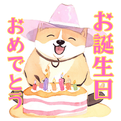 [LINEスタンプ] カーボーイハット姿の秋田犬のスタンプ1