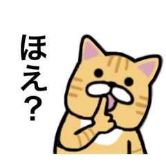 [LINEスタンプ] 茶トラ★日常使い★関西弁