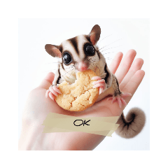 [LINEスタンプ] SugarGlider フクロモモンガ