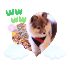 [LINEスタンプ] ワンちゃんの幸せを応援 癒やされる犬