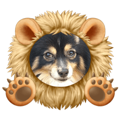 [LINEスタンプ] 茶々まろ
