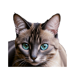 [LINEスタンプ] ペルシャネコ persian cat.