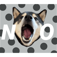 [LINEスタンプ] 柴犬のこはるなんです〜黒柴成犬編〜⑤