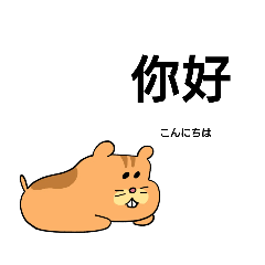 [LINEスタンプ] 超你好こんにちはスタンプ