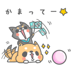 [LINEスタンプ] 柴犬ポンと小さき者チビ