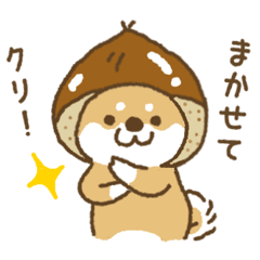 [LINEスタンプ] 赤しばワンコ（赤柴犬）秋編