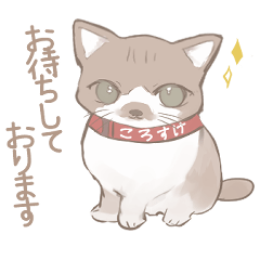 [LINEスタンプ] ねこんチのねこスタンプ