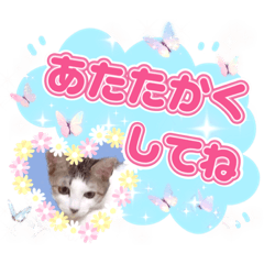 [LINEスタンプ] ゆめちゃんの日常③優しい気遣い言葉達