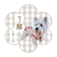 [LINEスタンプ] ラスティのスタンプ