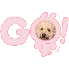 [LINEスタンプ] ポンっとつかえる