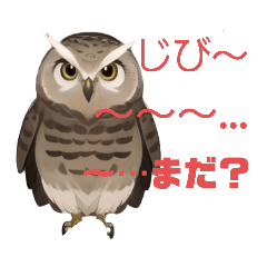 [LINEスタンプ] ふくろうの福太郎Fukutaro the owl