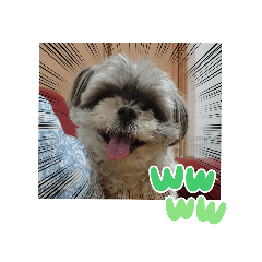 [LINEスタンプ] ふっちんMEMORIAL