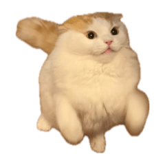 [LINEスタンプ] らすくまる