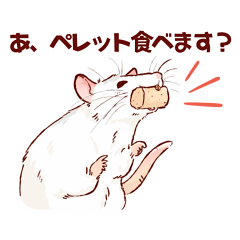 [LINEスタンプ] フォロワーさんちのファンシーラット4