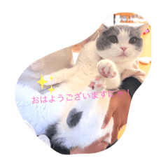 [LINEスタンプ] ひなもな毎日スタンプ