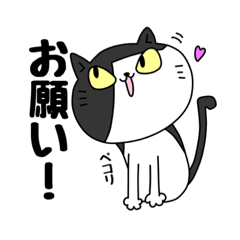 [LINEスタンプ] バラ猫の詰め合わせ