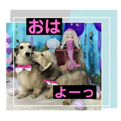 [LINEスタンプ] りん☆everyday6