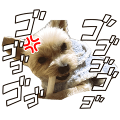 [LINEスタンプ] りんくとかいじスタンプ