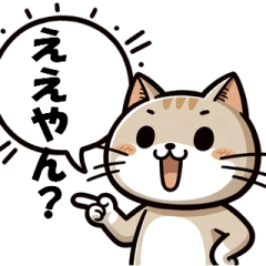 [LINEスタンプ] 博多猫の日常